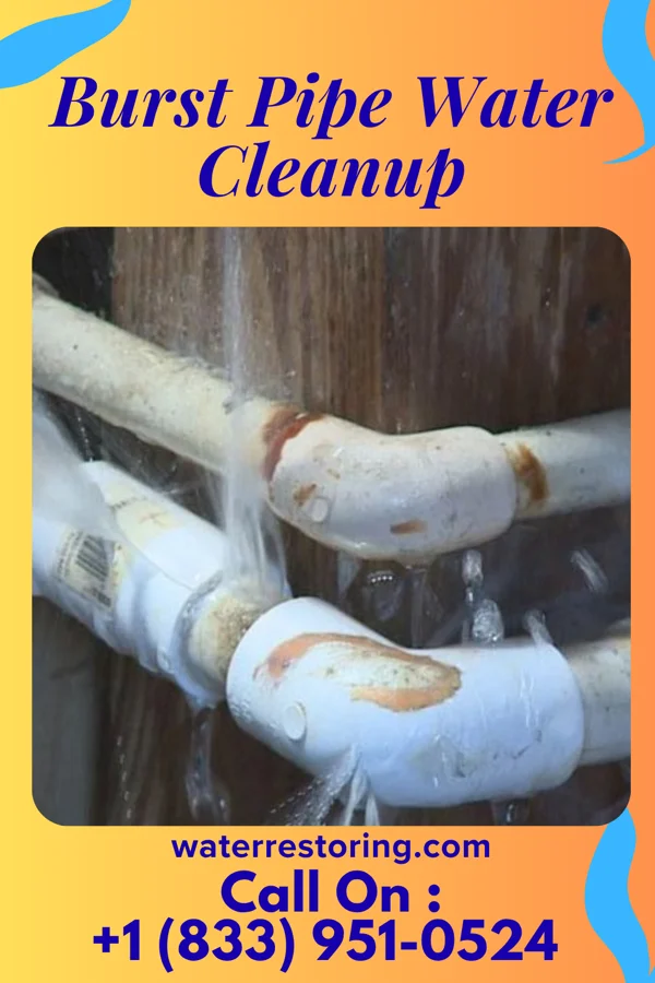 Burst Pipe Water Cleanup in East Tawakoni, TX