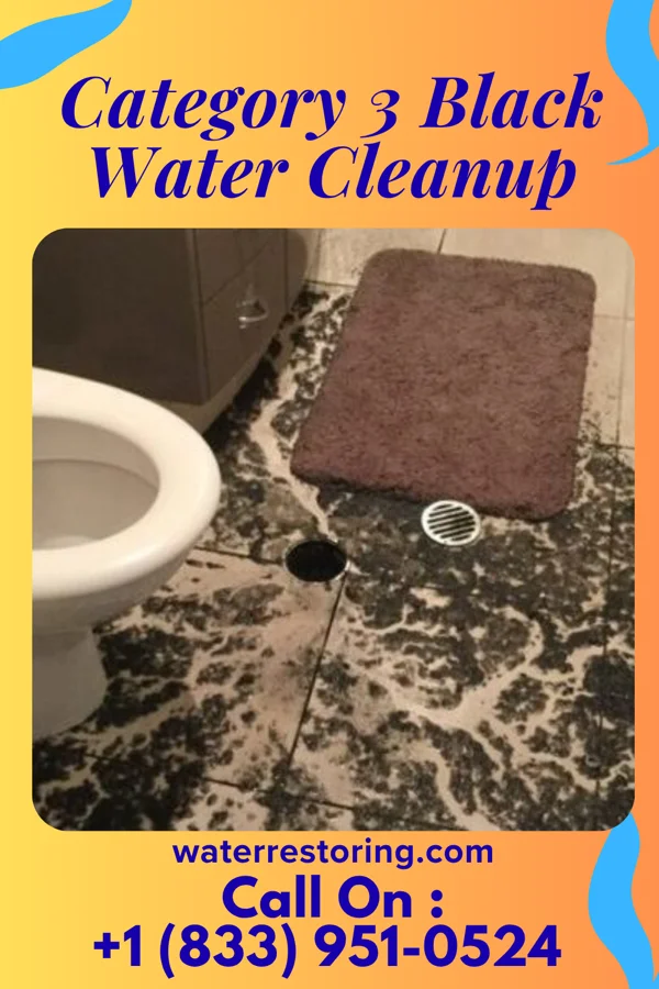 Category 3 Black Water Cleanup in East Tawakoni, TX