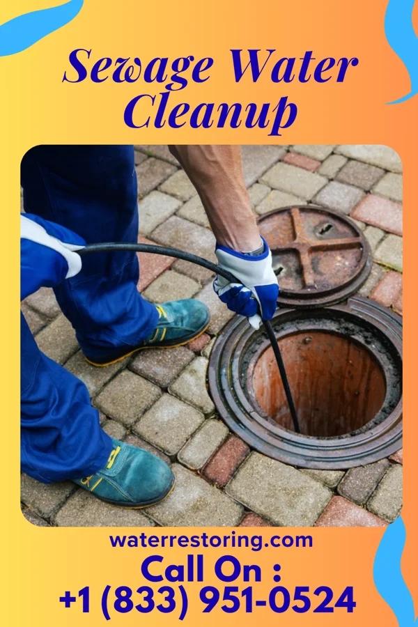 Sewage Water Cleanup in East Tawakoni, TX